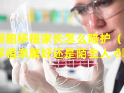 干细胞移植家长怎么陪护（干细胞移植亲属好还是陌生人 🌼 ）